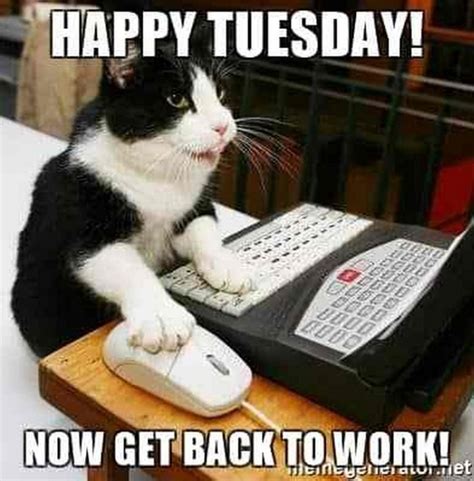 happy tuesday funny|happy tuesday funny for work.